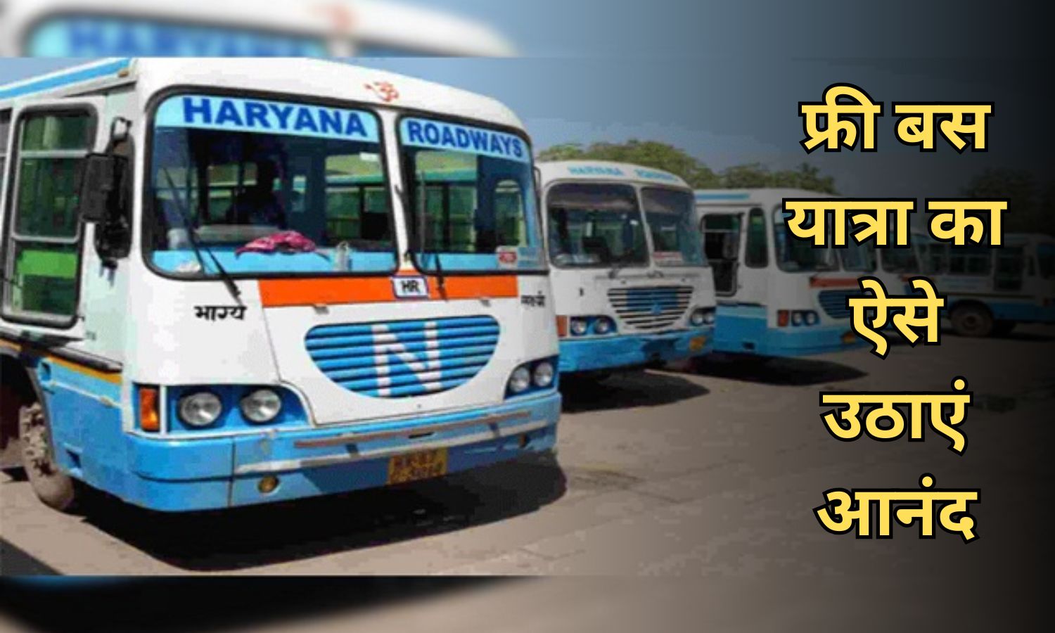 haryana news